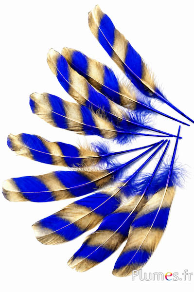 Oca - 15-21 cm - blu-oro
